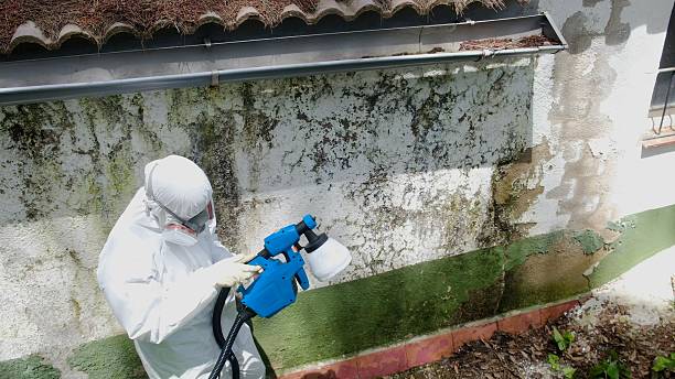 Top rated local Commercial Mold Remediation specialists in Dayton, OR